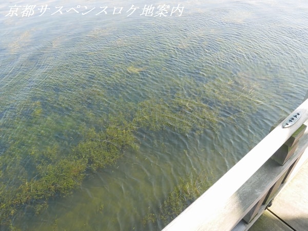 湖の藻